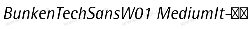BunkenTechSansW01 MediumIt字体转换 BunkenTechSansW01 MediumIt字体转换